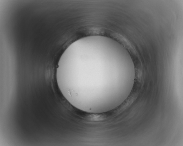 X0000102290326200808081528