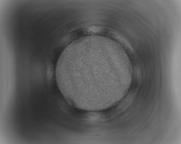 X0000102290328200808081528