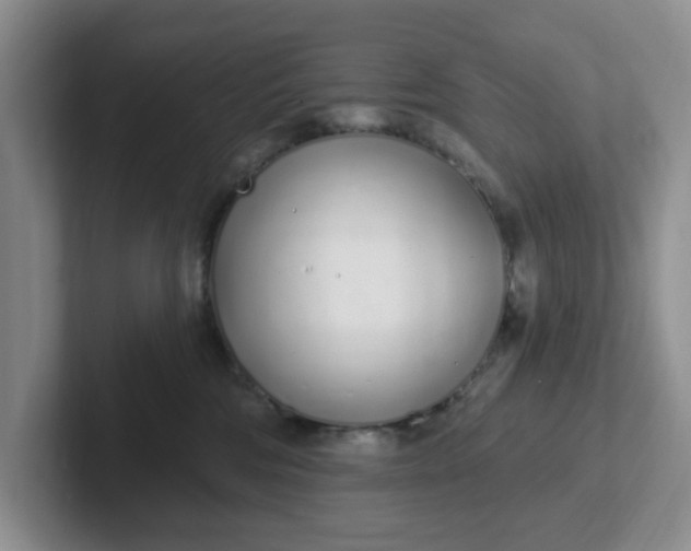 X0000102290330200808081528