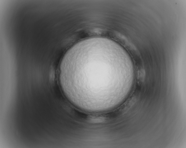 X0000102290331200808081528