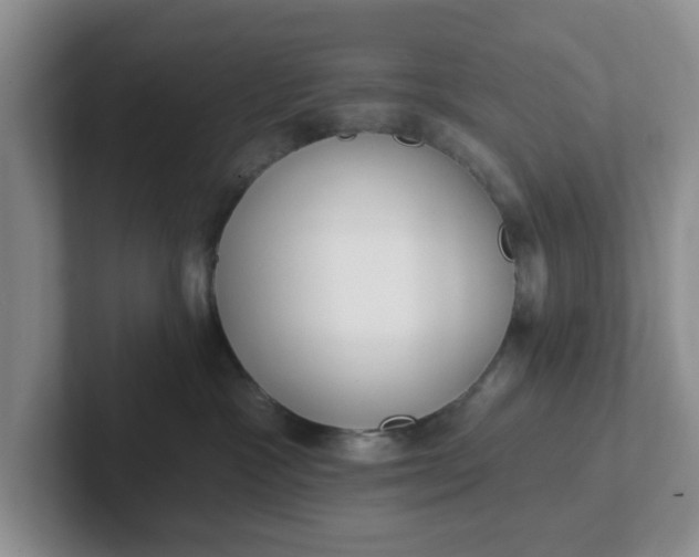 X0000102290333200808081528