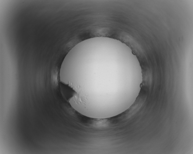 X0000102290334200808081528