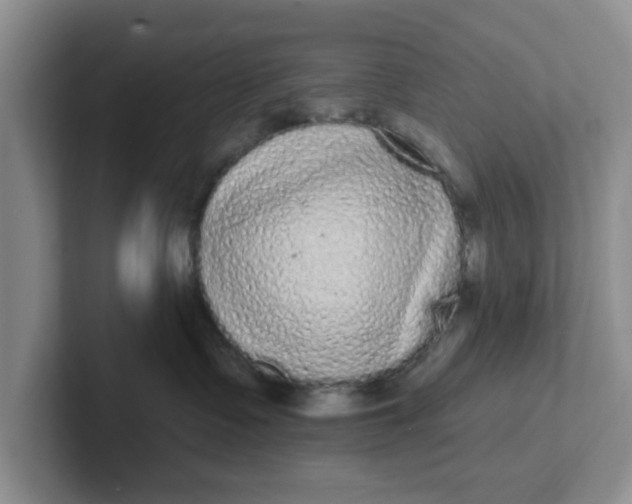 X0000102290335200808081528