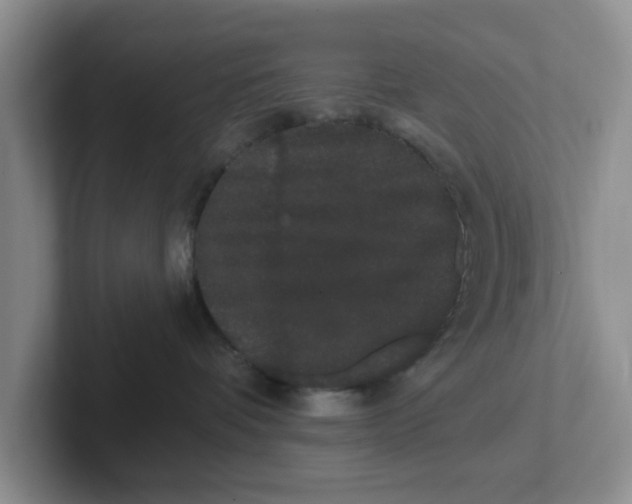 X0000102290336200808081528