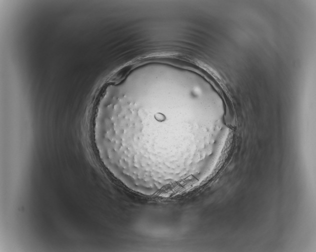 X0000102290337200808081527