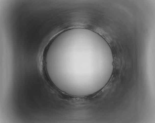 X0000102290338200808081527