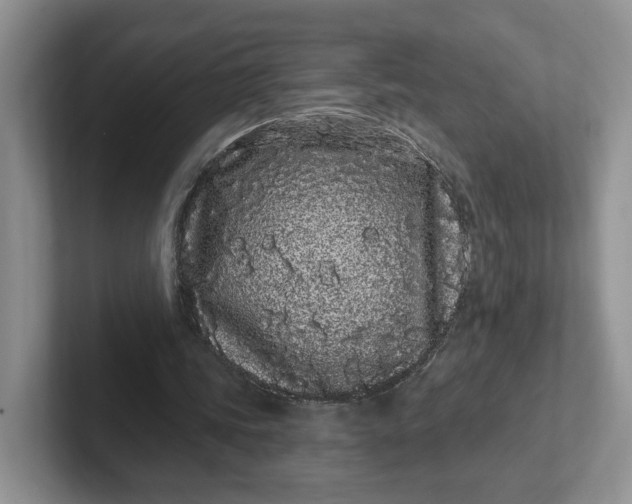 X0000102290339200808081527