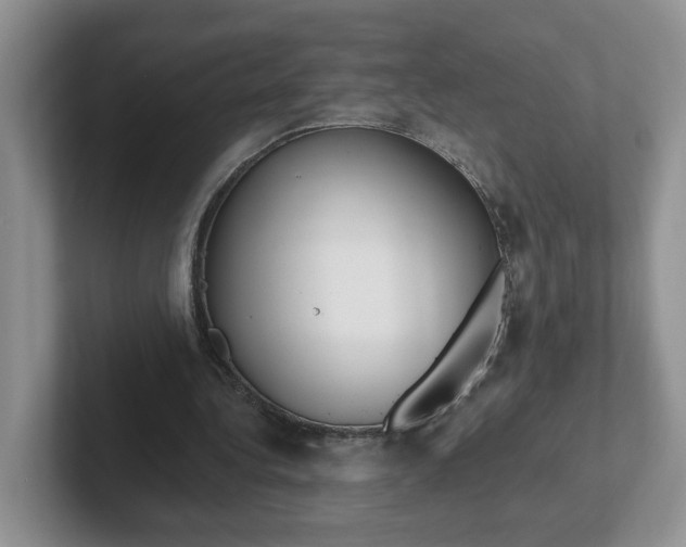 X0000102290340200808081527