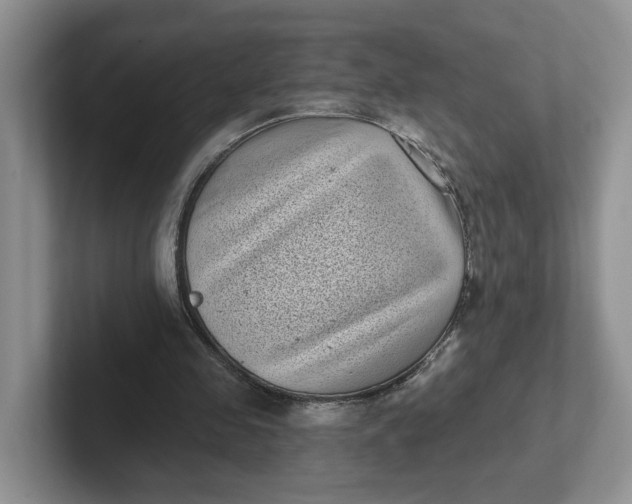 X0000102290341200808081527