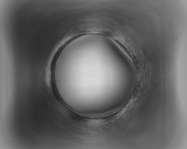 X0000102290342200808081527