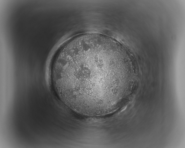 X0000102290343200808081527