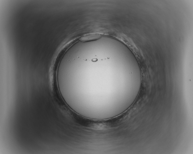 X0000102290344200808081527