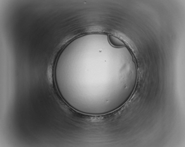 X0000102290345200808081527