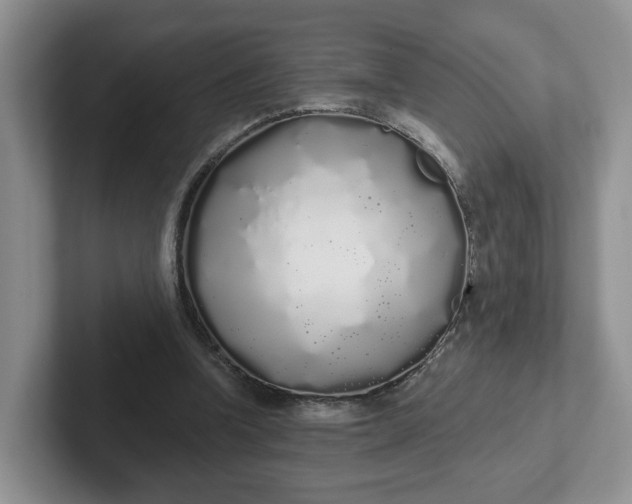 X0000102290346200808081527