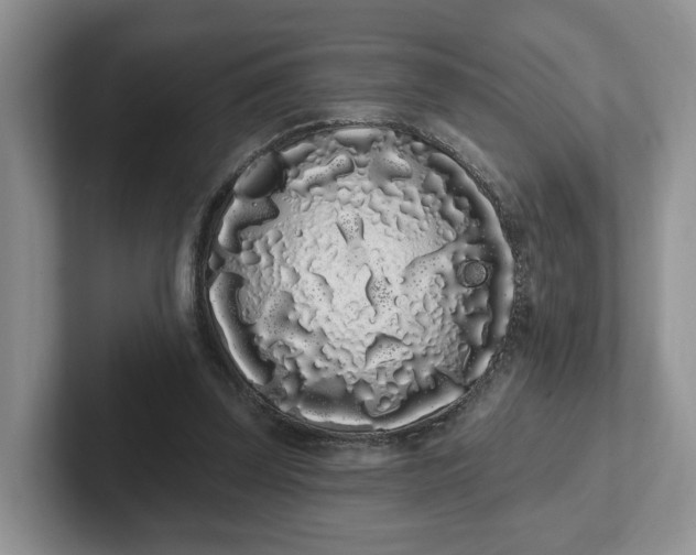 X0000102290347200808081527