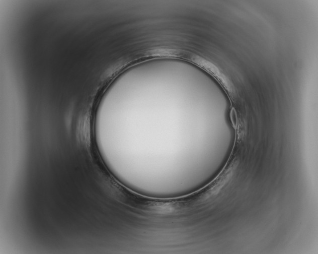 X0000102290349200808081527