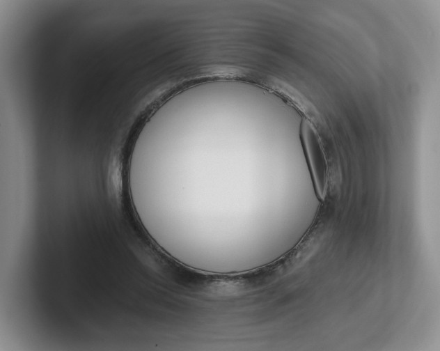 X0000102290350200808081527