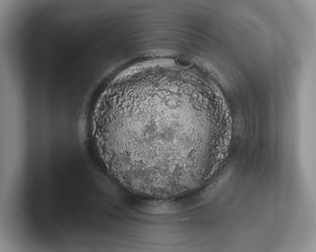 X0000102290351200808081527