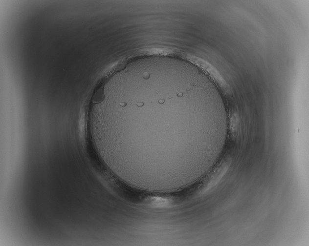 X0000102290352200808081527