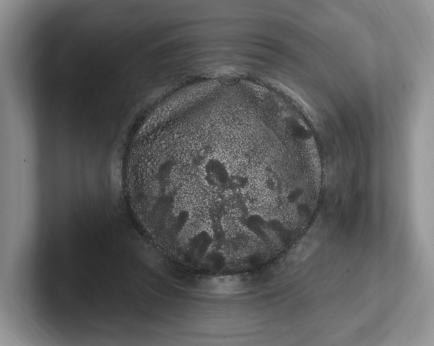 X0000102290353200808081527