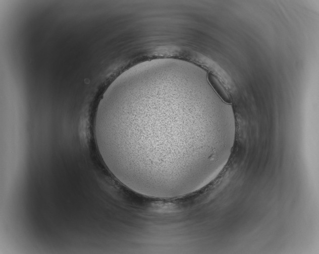 X0000102290354200808081528