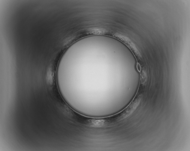 X0000102290355200808081528