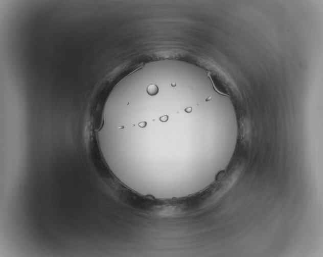 X0000102290356200808081528