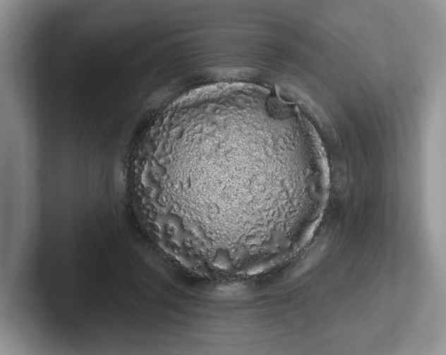 X0000102290357200808081528