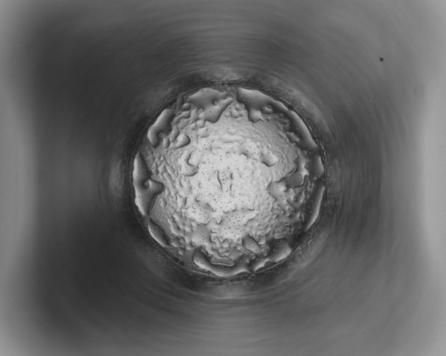 X0000102290359200808081528