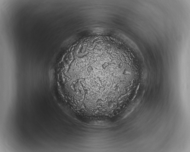 X0000102290361200808081528