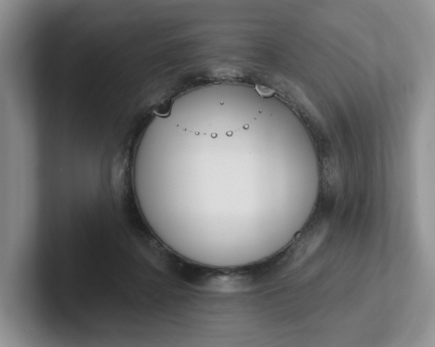 X0000102290364200808081528