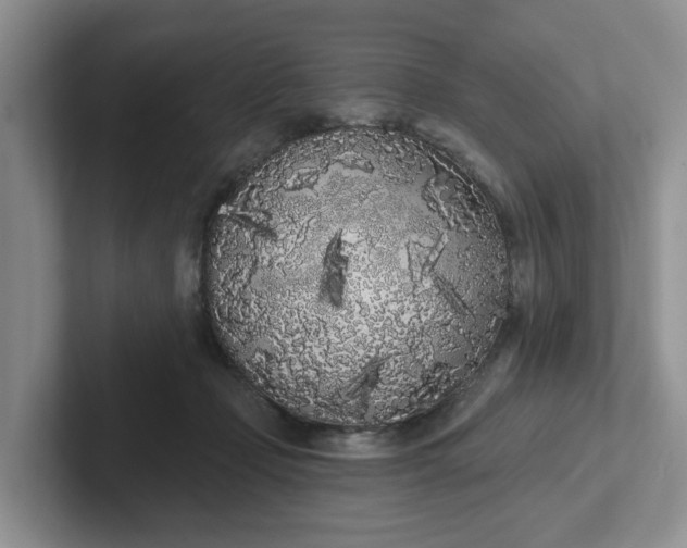 X0000102290365200808081528