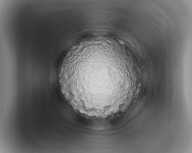 X0000102290367200808081528