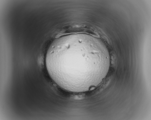 X0000102290368200808081528