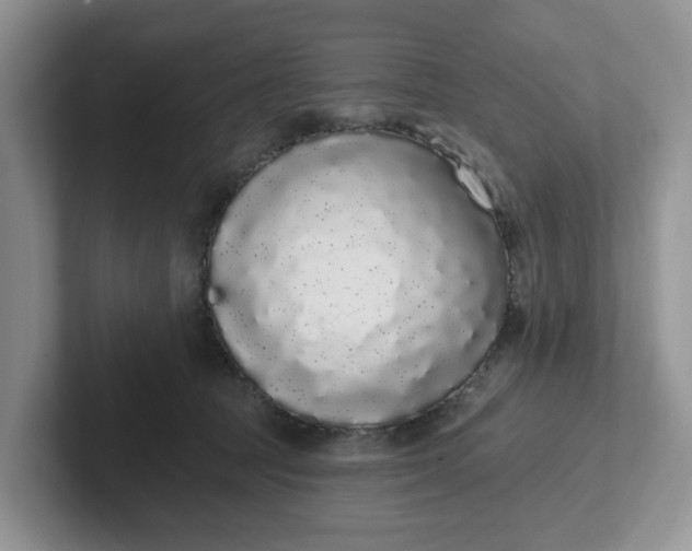 X0000102290369200808081528