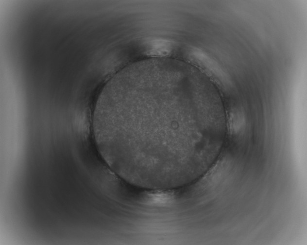 X0000102290370200808081528