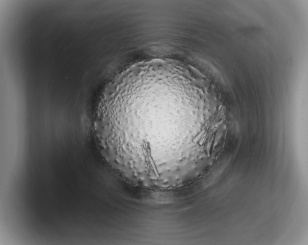 X0000102290371200808081528