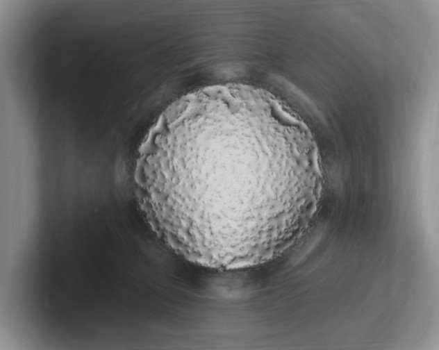 X0000102290373200808081528