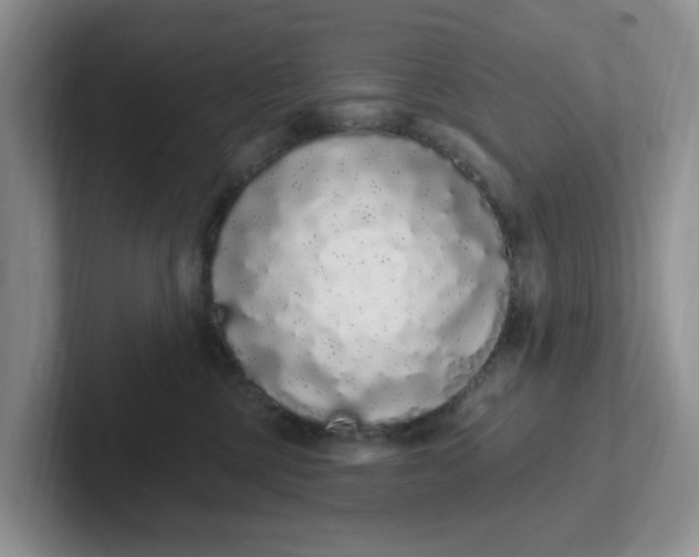 X0000102290377200808081528