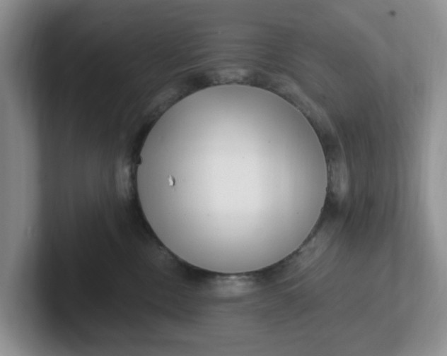 X0000102290378200808081528