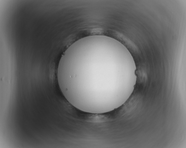 X0000102290379200808081528