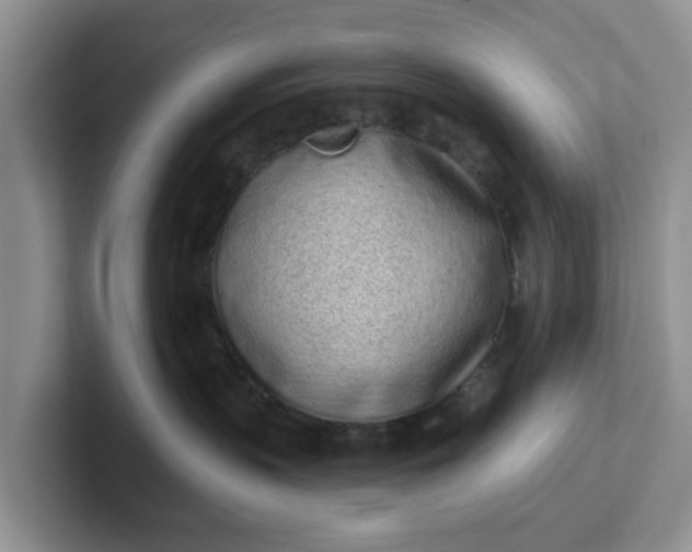 X0000102290383200808081528