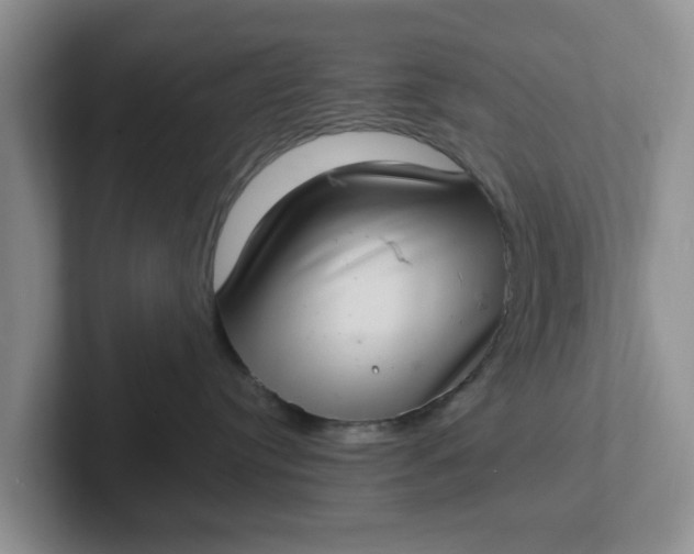 X0000102290384200808081528