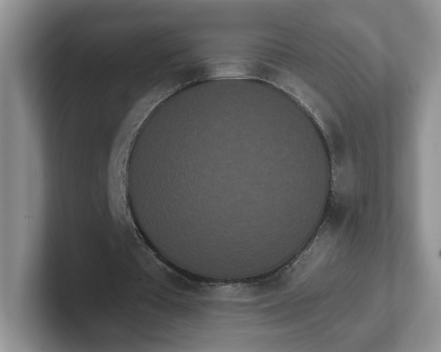 X0000102290385200808081527