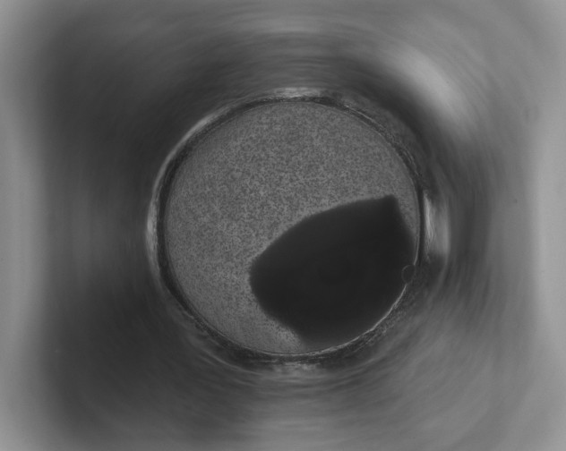 X0000102290387200808081527