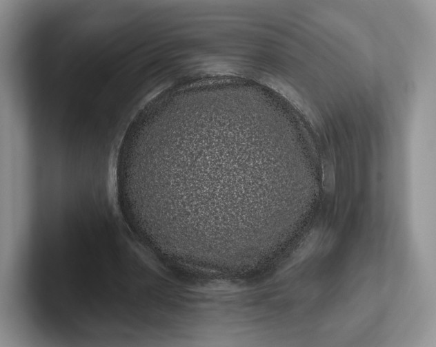 X0000102290390200808081527