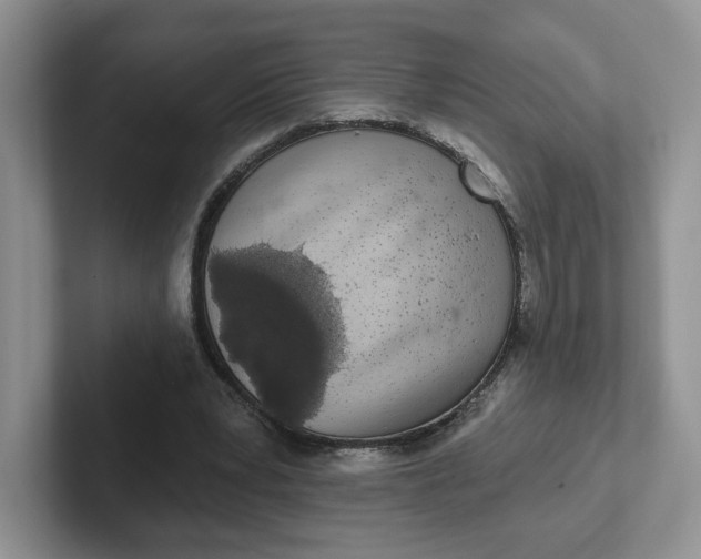 X0000102290391200808081527