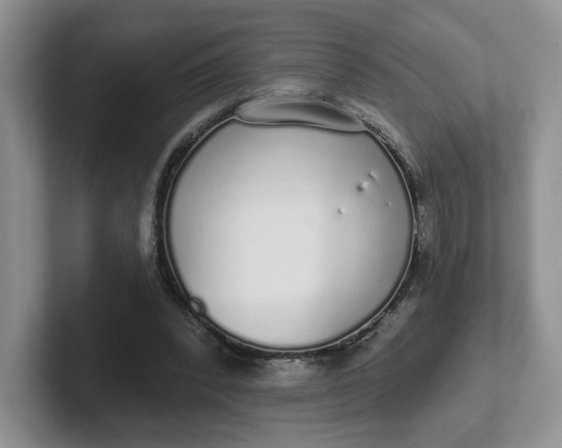 X0000102290392200808081527