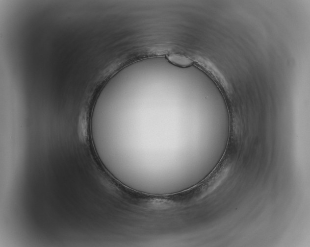 X0000102290393200808081527