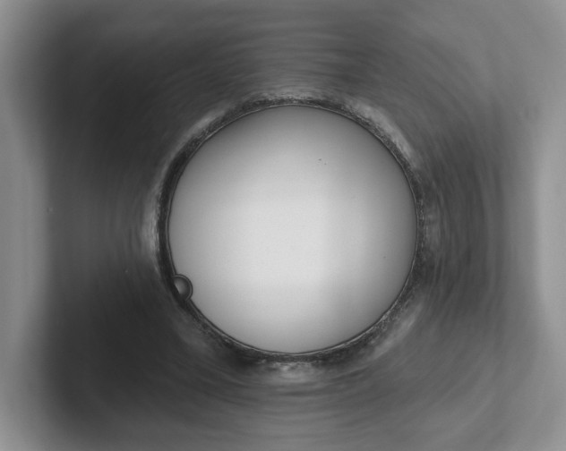 X0000102290395200808081527